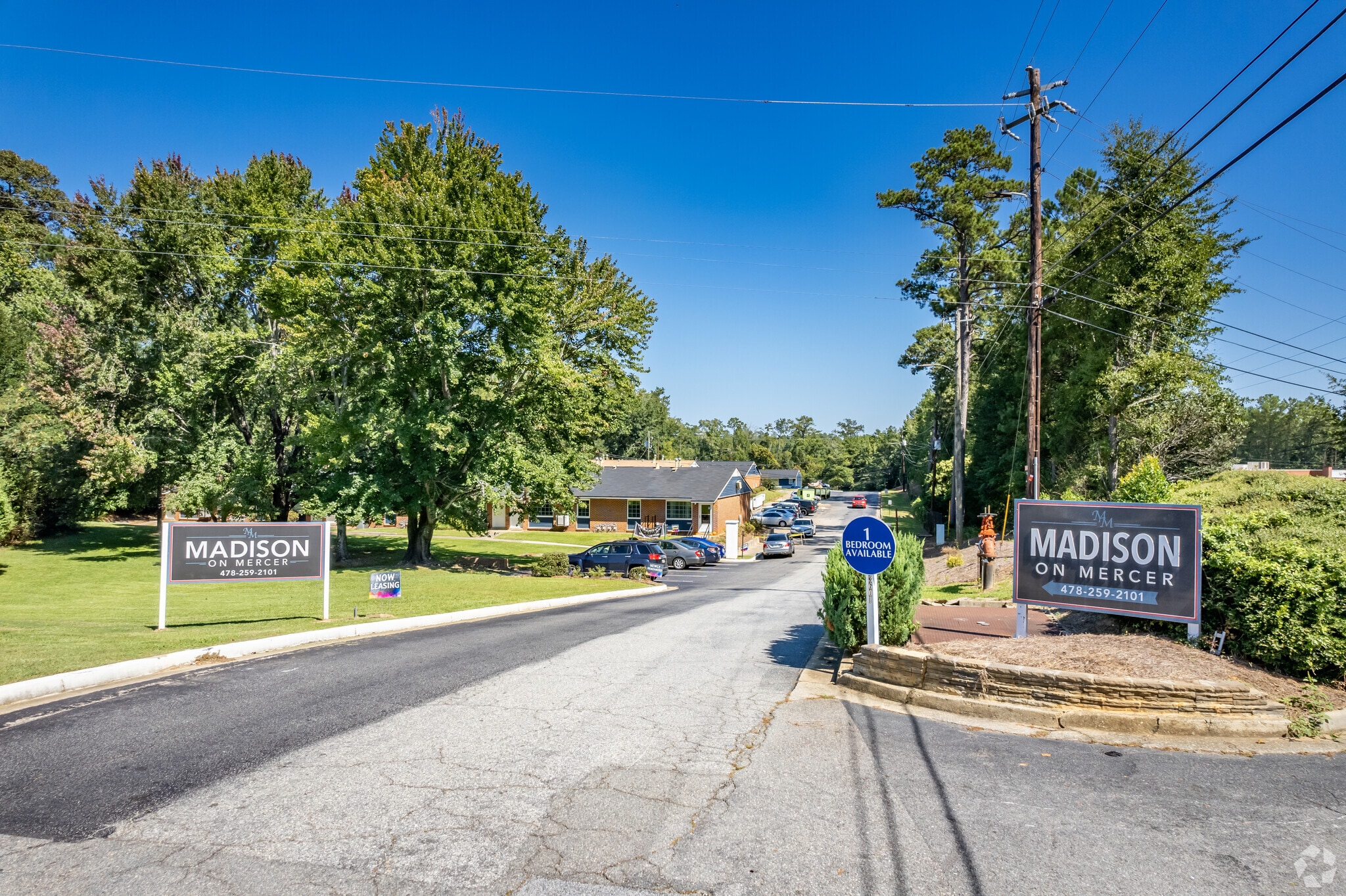 madison_on_mercer01 (1)